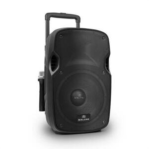 Malone PW-2912, 350 W, aktív hangfal, 12", VHF mic kép