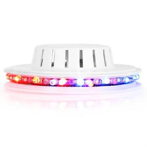 Ibiza LED UFO fényeffekt, fehér, mikrofon, RGB kép