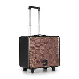 Auna Streetstar Retro 50, PA készülék, 10"-es woofer, max. 120 W, mikro USB, TF, BT, AUX, VHF kép