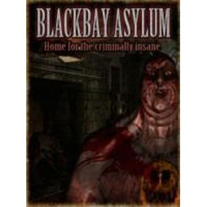 Blackbay Asylum (PC) kép