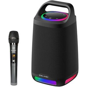 WS-01 Karaoke kép