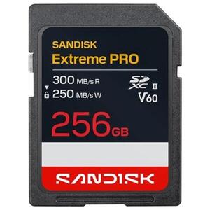 SDXC Extreme PRO 256GB (SDSDXEM-256G-GN4IN) kép