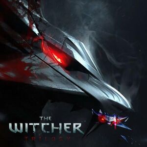 The Witcher Trilogy (PC) kép