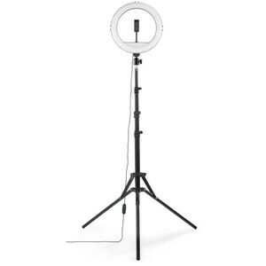 SpotLight Steady 120 III (4678) kép