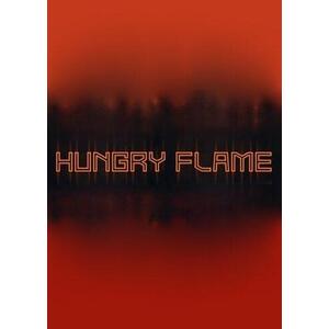 Hungry Flame (PC) kép