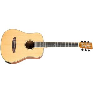 Tanglewood TRX2E kép