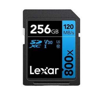 Professional 800x PRO 256GB (LSD0800P256G-BNNNG) kép
