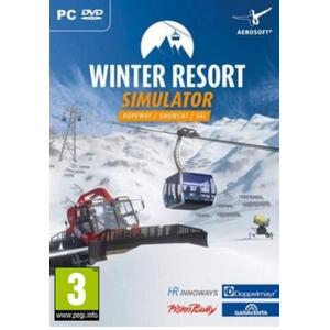 Winter Resort Simulator (PC) kép