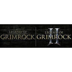 Legend of Grimrock Bundle (PC) kép