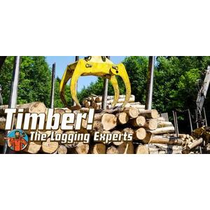 Timber! The Logging Experts (PC) kép