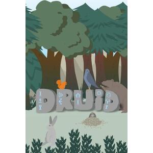 Druid (PC) kép