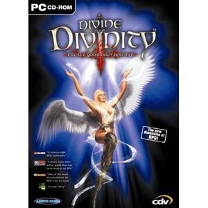 Divine Divinity (PC) kép