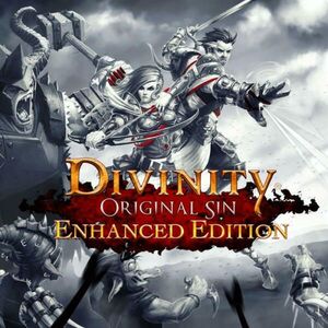 Divinity Original Sin [Enhanced Collector's Edition] (PC) kép