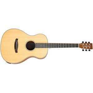 Tanglewood TRX8E kép