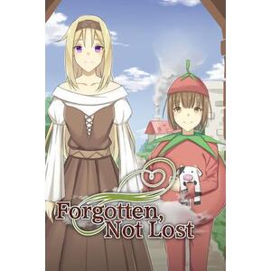 Forgotten, not Lost (PC) kép
