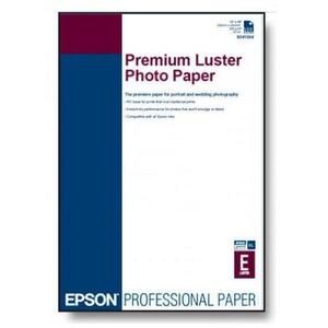 Premium Luster A4/250 C13S041784 kép