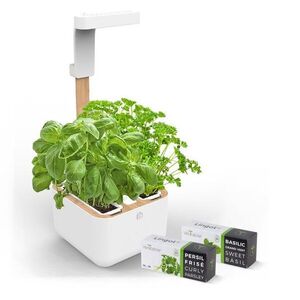 Véritable Botaneo - Okos virágcserép + 2 fűszernövény utántöltő kép