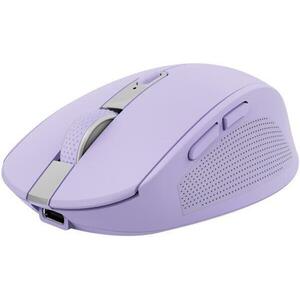 Ozaa Compact Eco (25384) kép