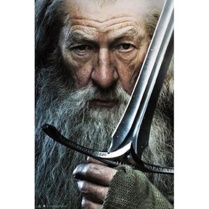 The Lord Of The Rings - Pán prstenů - Gandalf - plakát kép
