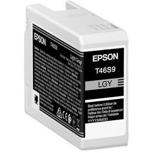 Epson T46S9 Eredeti Tintapatron Világos szürke kép