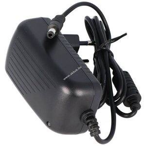 Tápegység kompatibilis Tivoli Audio PAL iPAL VD120050L 12V pda és mp3 kép