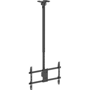 STELL SHO 3901 kép