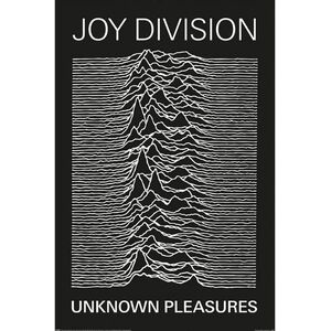Joy Division: Unknown Pleasures - Plakát kép