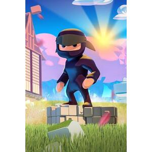 Mad Dojo (PC) kép