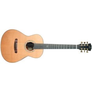 Dowina 2022 GDE Cocobolo Master Series kép