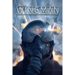 Project Wingman (PC) kép