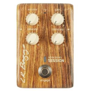 L.R. Baggs Align Session kép
